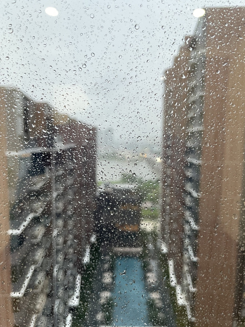 Bán căn góc 3PN, thang máy riêng, View sông + Q1, giá 21 tỷ_thumbnail_10