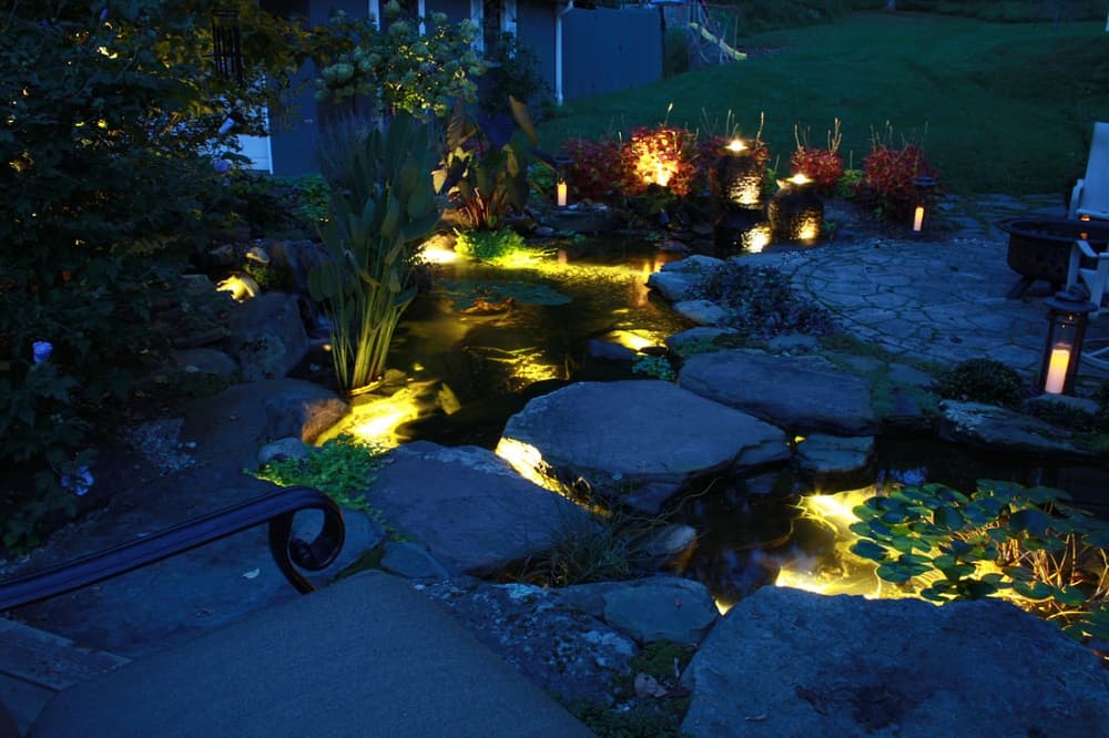 Đèn hồ cá năng lượng mặt trời phổ biến 2026 theo từng nhu cầu