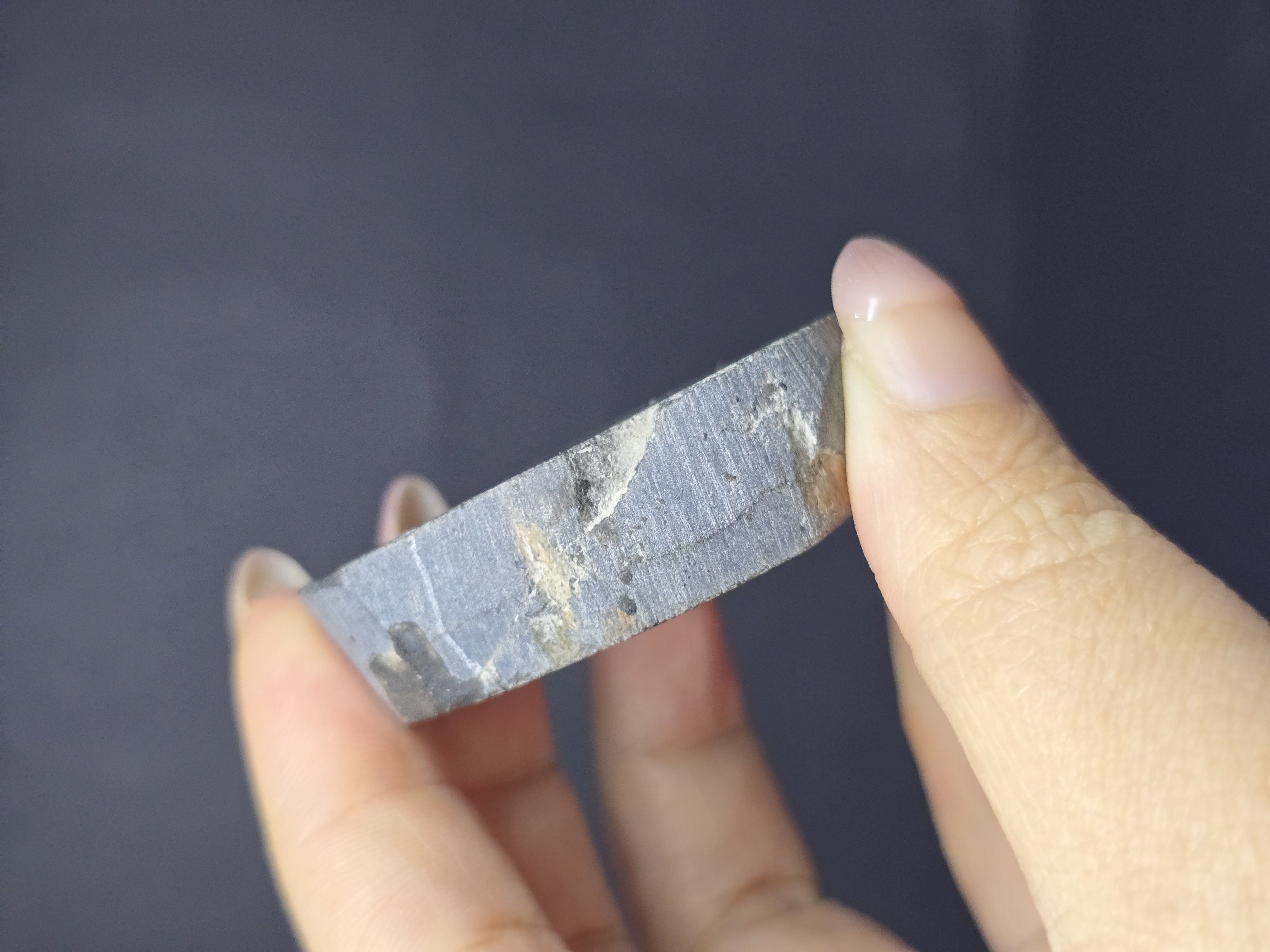 Gỗ Hóa Thạch Đã Được Mài Bóng 2 Mặt_thumbnail_9