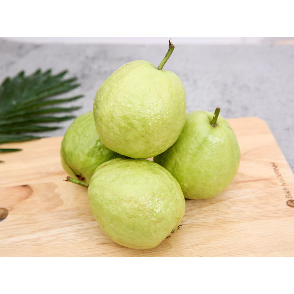 Ổi Đài Loan_thumbnail_1