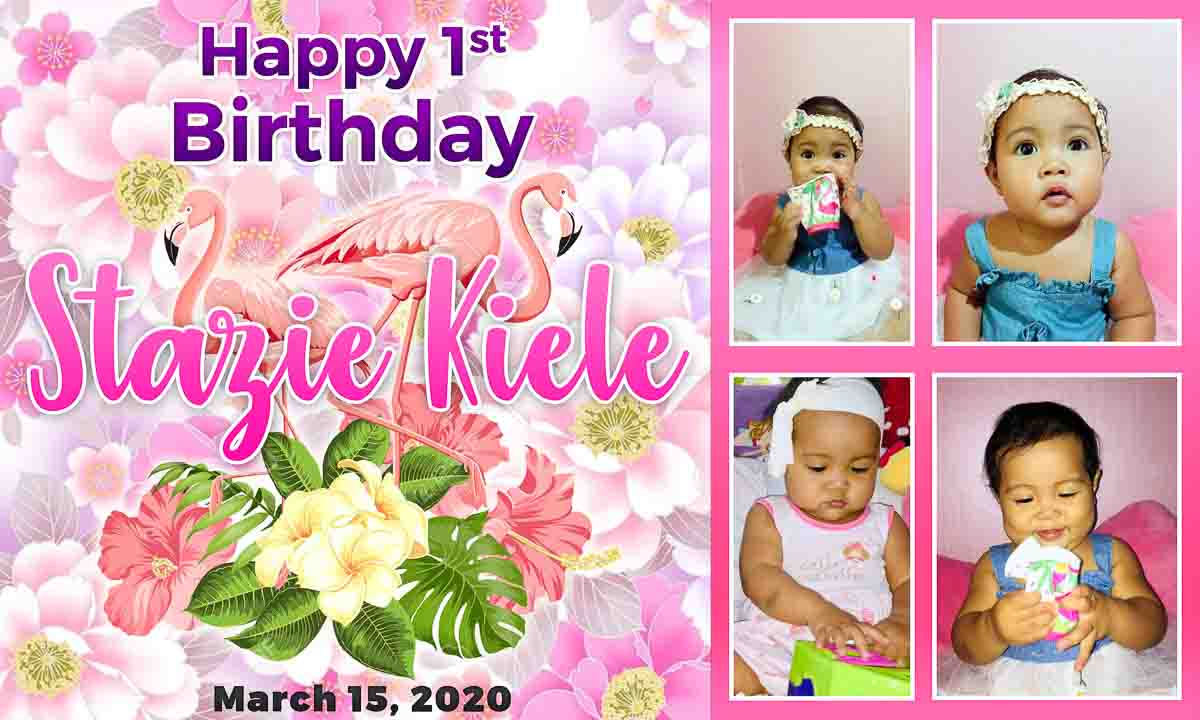 Flamingo Theme Birthday Tarp