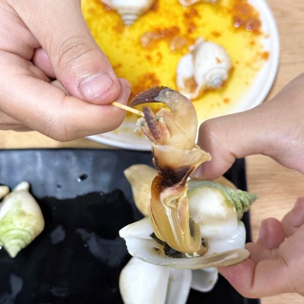 Ốc nhảy cái (size cồ) _thumbnail_2