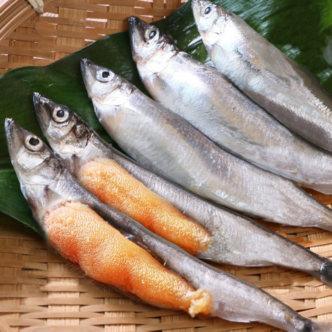 Cá trứng Nauy Thơm ngon, Béo ngậy [Giao hàng hỏa tốc Huế]