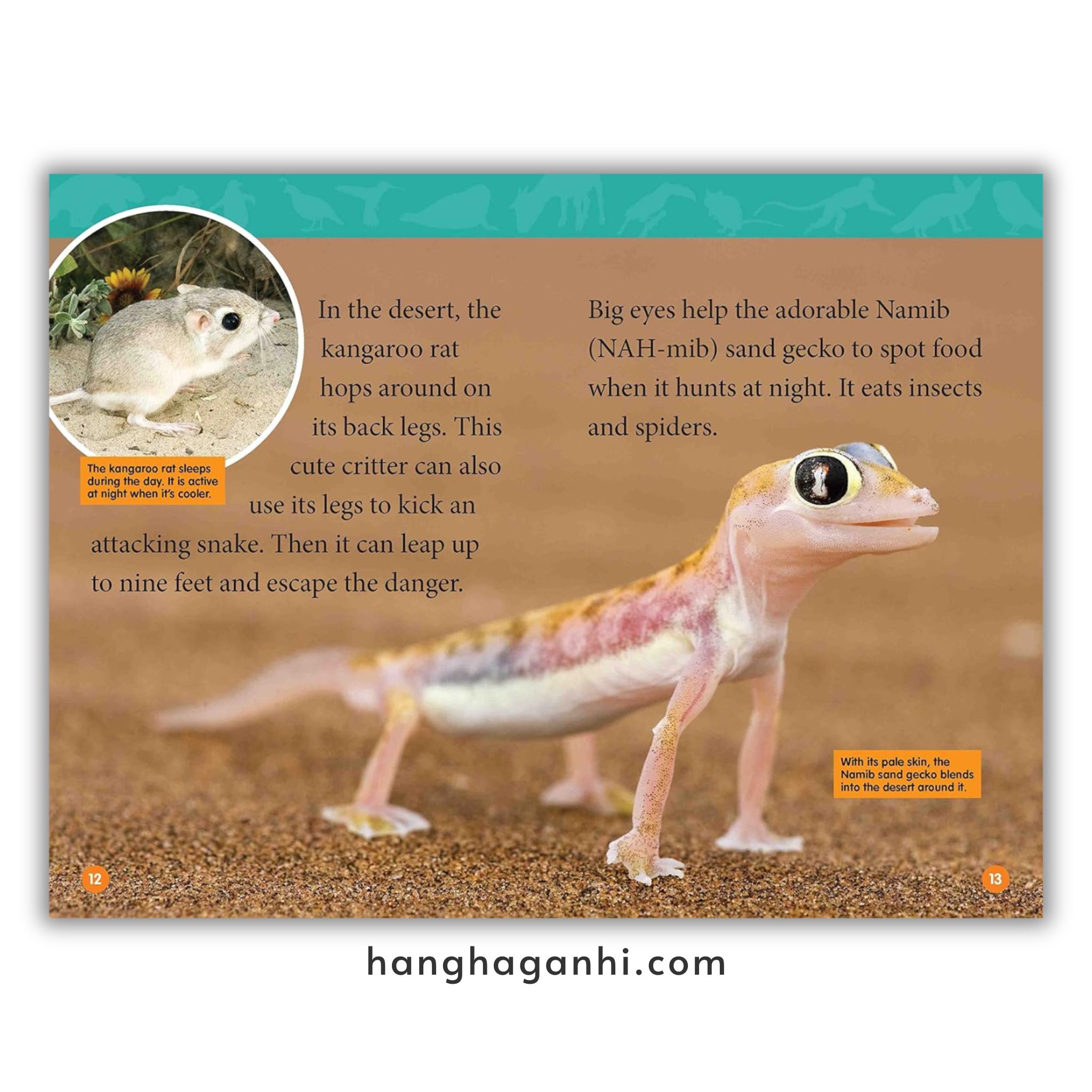 Bộ 41 cuốn National Geographic Kids level 2 - sách Khoa học tiếng Anh nhập khẩu, nguyên seal_thumbnail_8