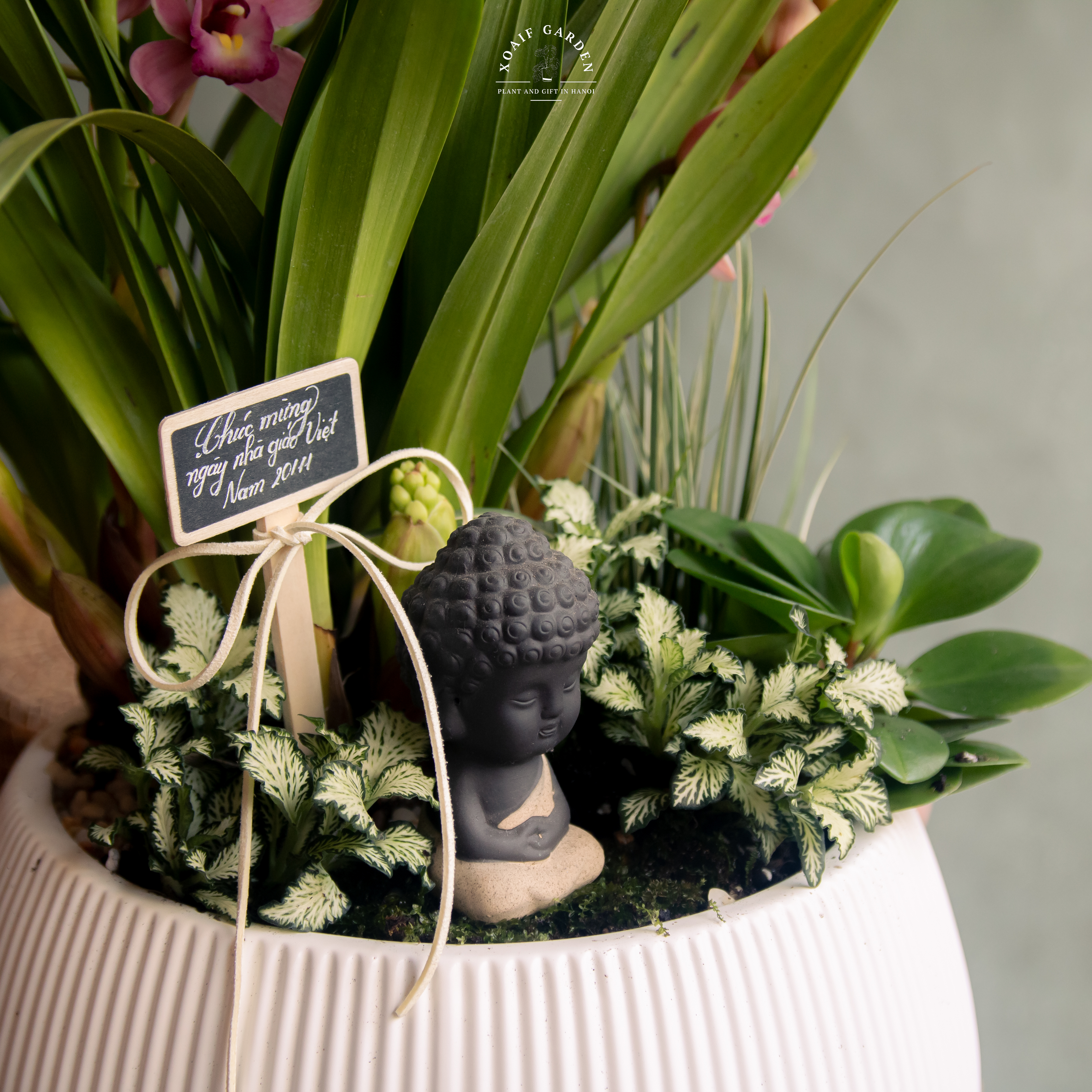 ĐỊA LAN MIX PHONG THỦY CHẬU SÓNG CAO CẤP_thumbnail_4