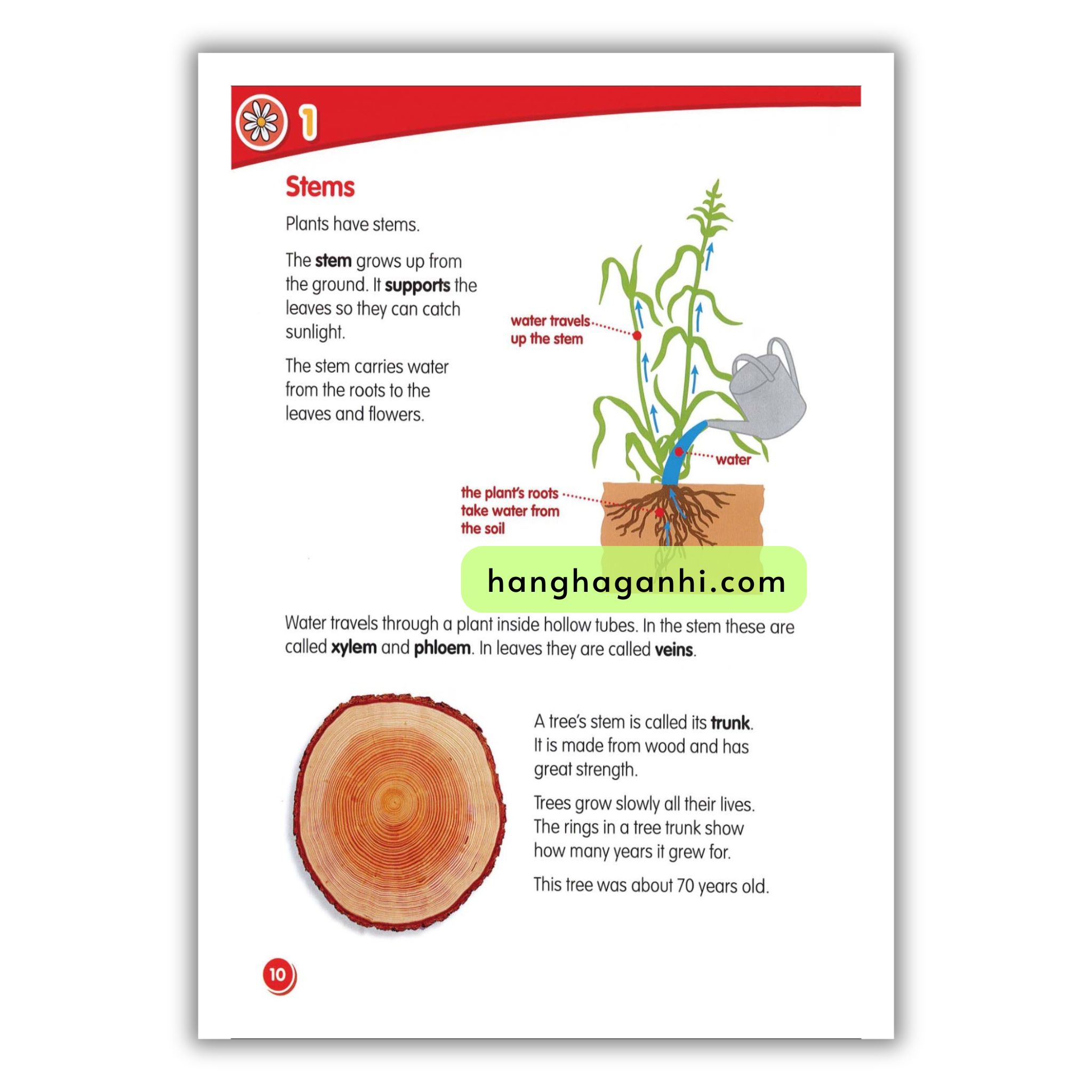 Macmillan Science 3 Pupil’s book_thumbnail_4