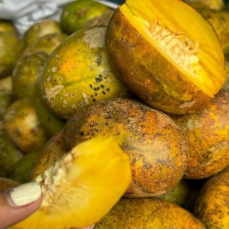 Cóc Chín_thumbnail_3