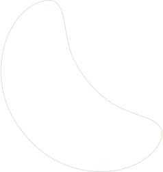 layout-slider1-021