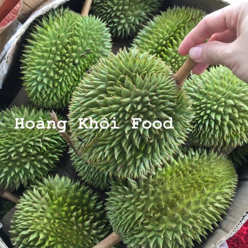 Sầu Riêng Sáu Hữu_thumbnail_3