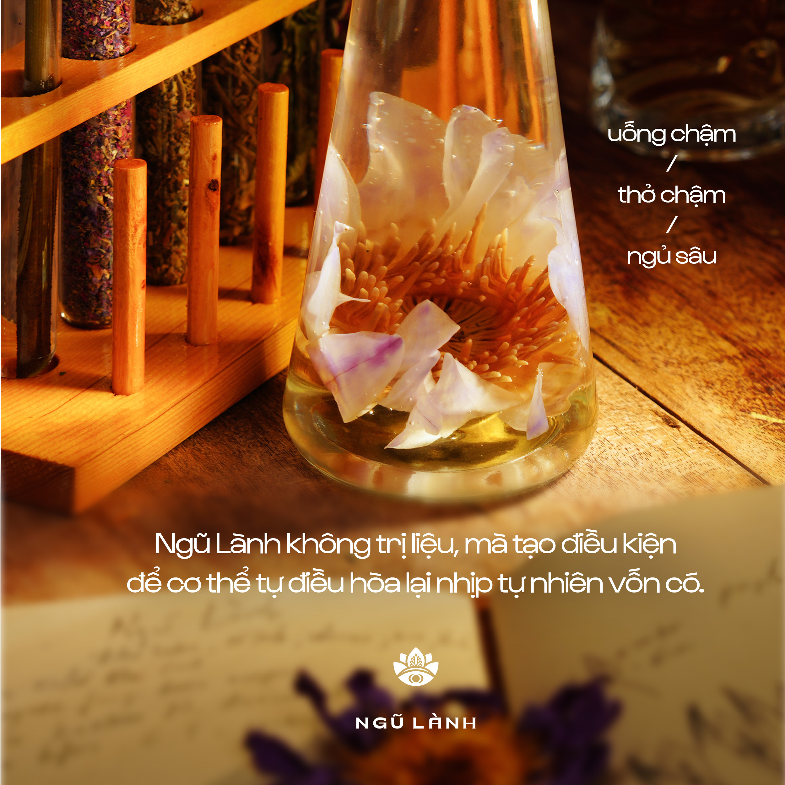 Trà Ngũ Lành - Giảm Căng Thẳng & Điều Hòa Thần Kinh & Ngủ Sâu Tự Nhiên | Natural’s Heal_thumbnail_8