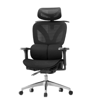 Ghế Công Thái Học - LX30