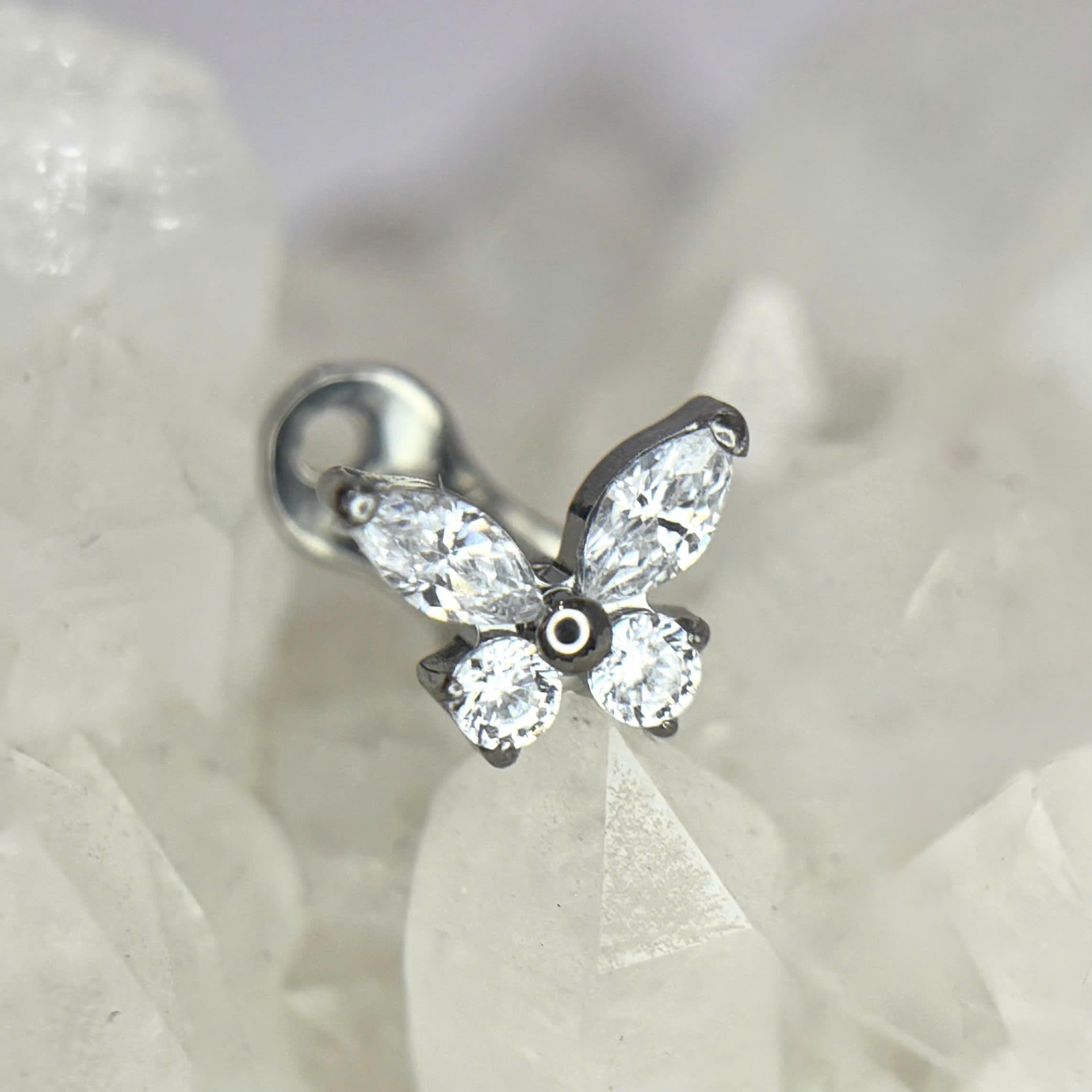 Khuyên cấy titan bướm cánh bè_thumbnail_3