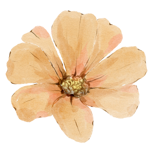 Untitled design (24)