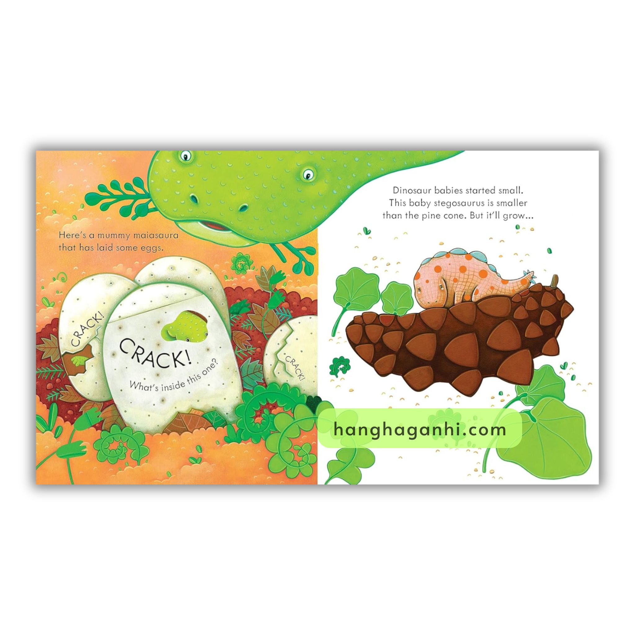 Usborne Peep Inside – Sách Nhập 6 cuốn ( kèm File nghe )_thumbnail_10