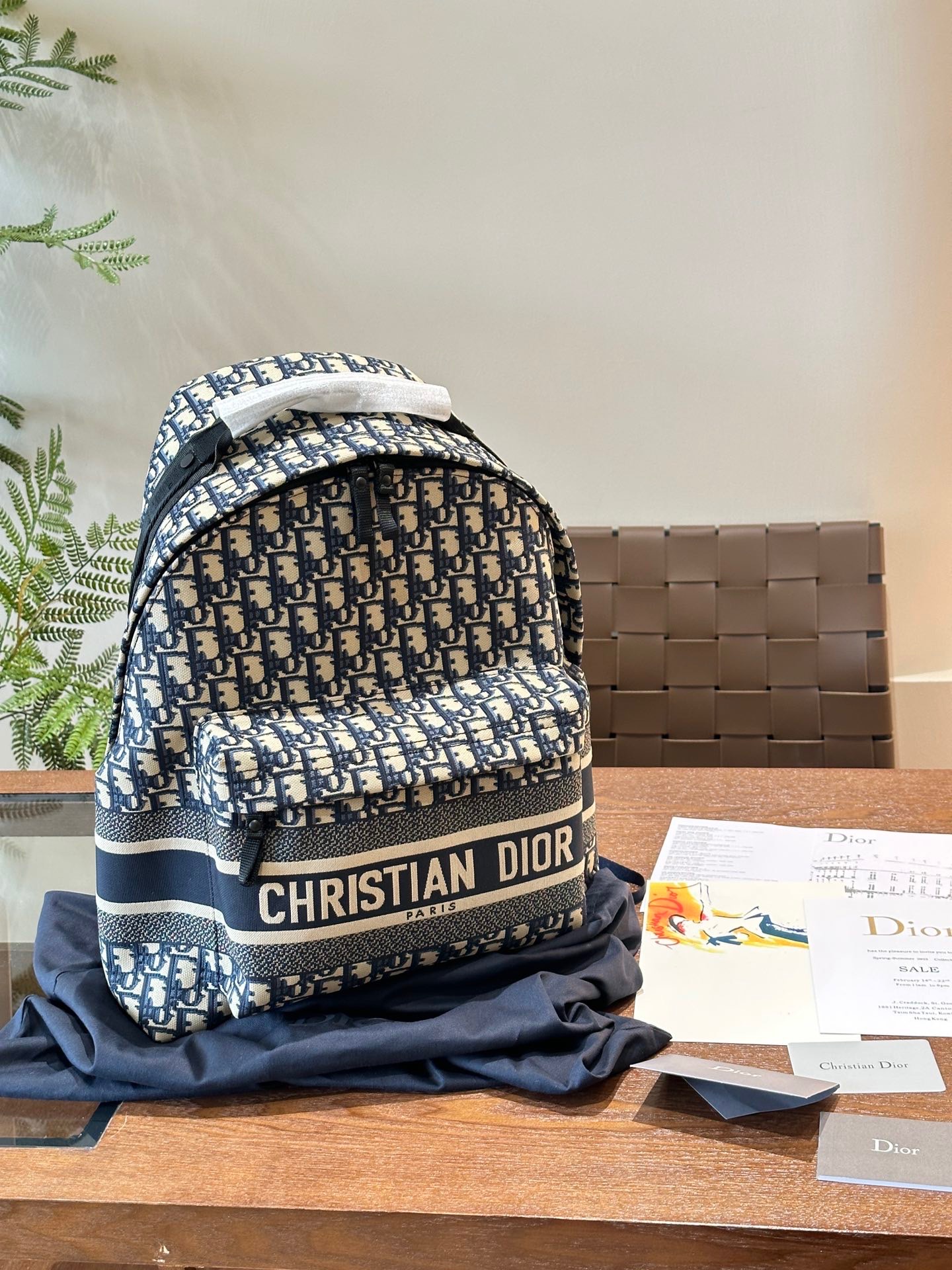 Balo Dior Oblique họa tiết monogram_thumbnail_1