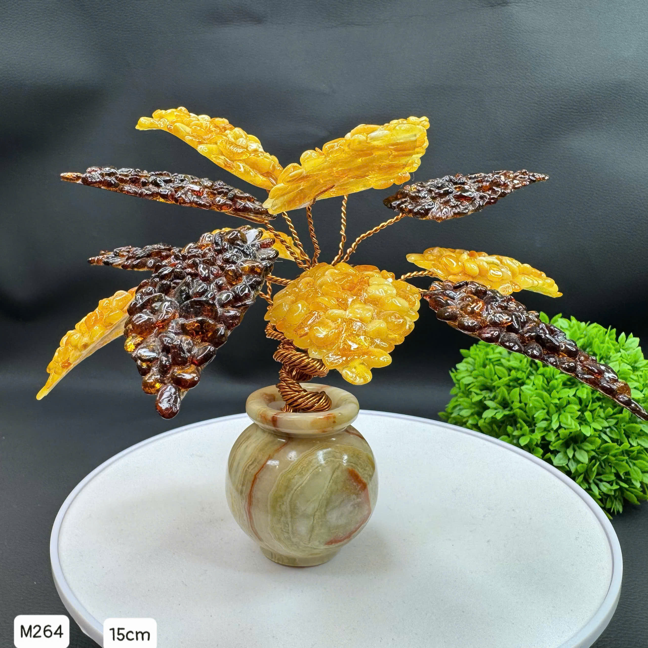 Chậu Cây Hổ Phách Tài Lộc - M264