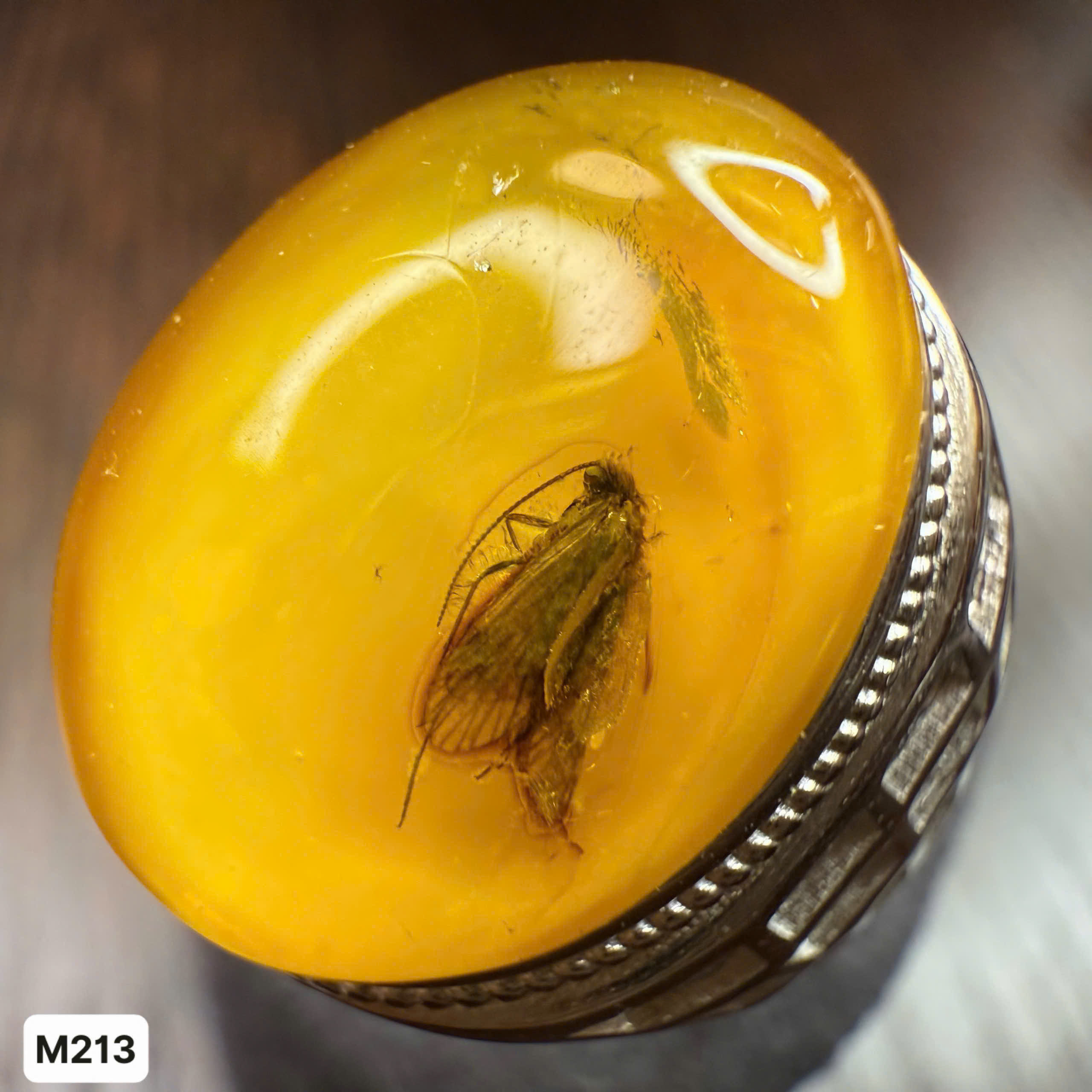 Nhẫn Côn Trùng Ruồi Đá - M213