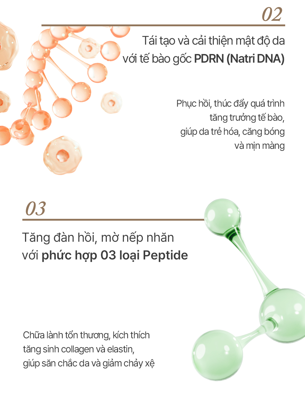 Tinh Chất Dưỡng Chuyên Sâu Cho Da Giúp Da Mềm Mịn Tăng Độ Đàn Hồi Elravie Pro Ultimate Ampoule 50ml_thumbnail_5