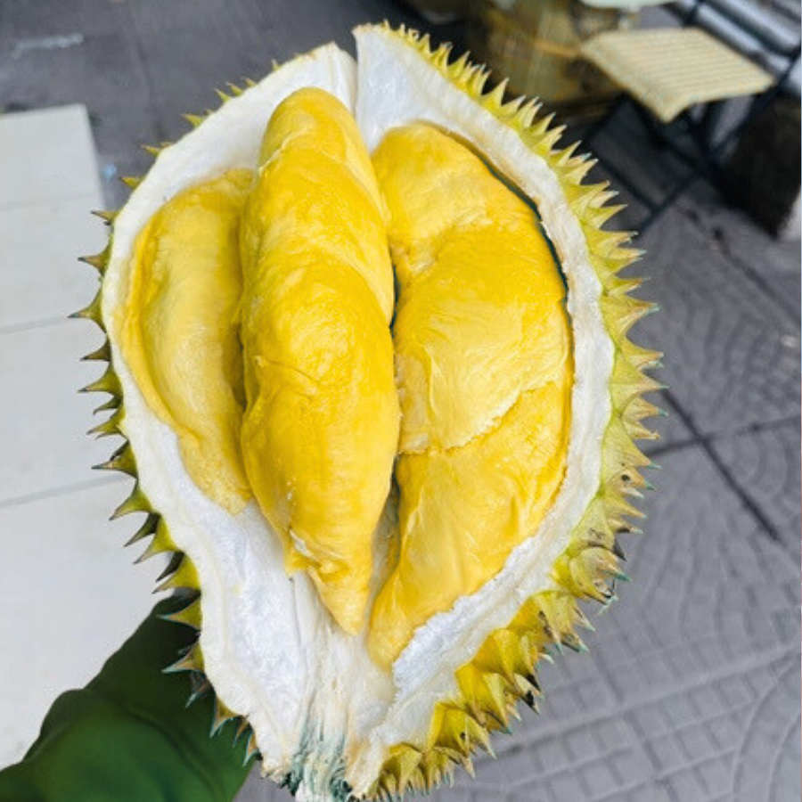 Trái Loại 1 - Sầu Riêng Ri6 MIỀN TÂY ( VIETGAP )_thumbnail_4