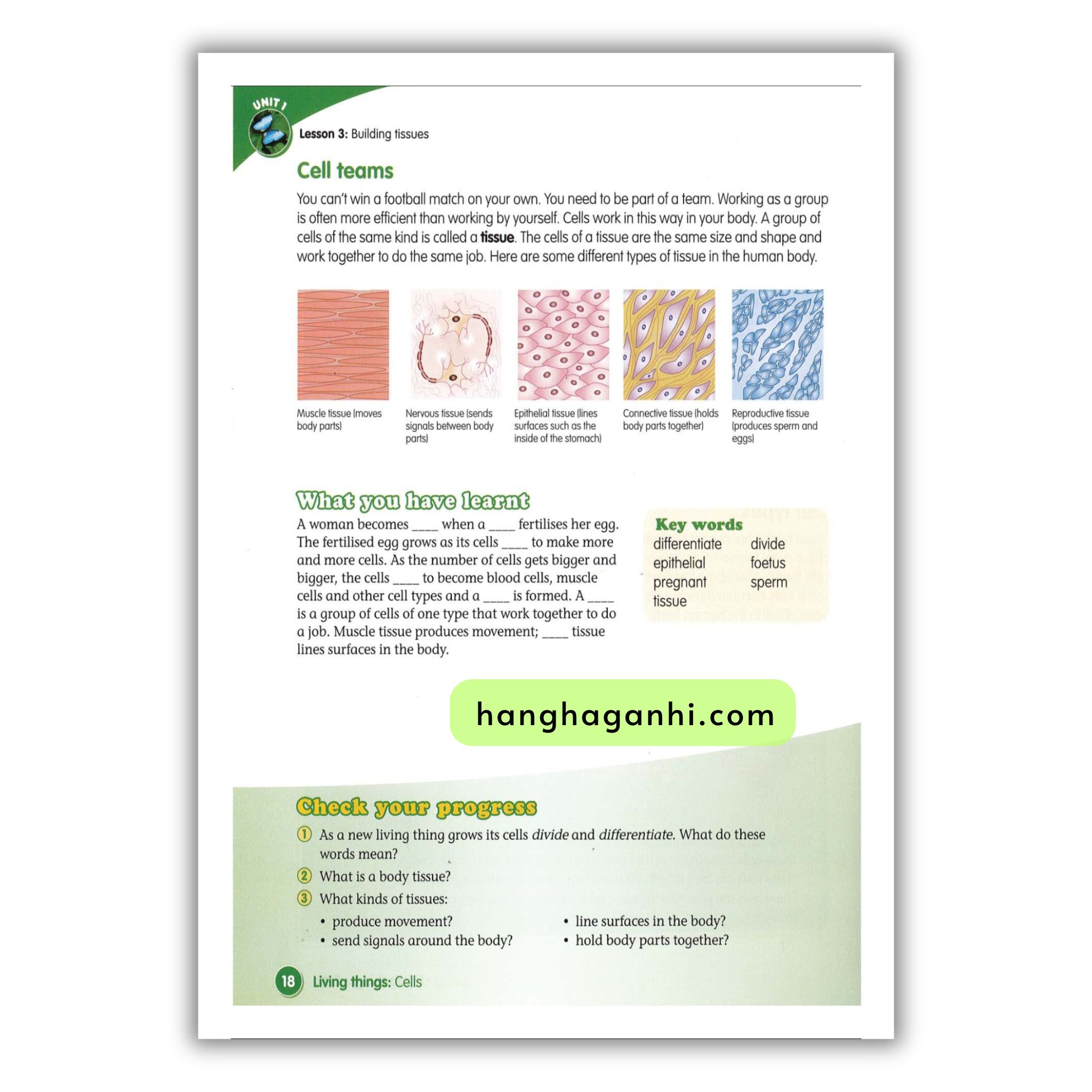 Macmillan Science 6 Pupil’s book_thumbnail_17