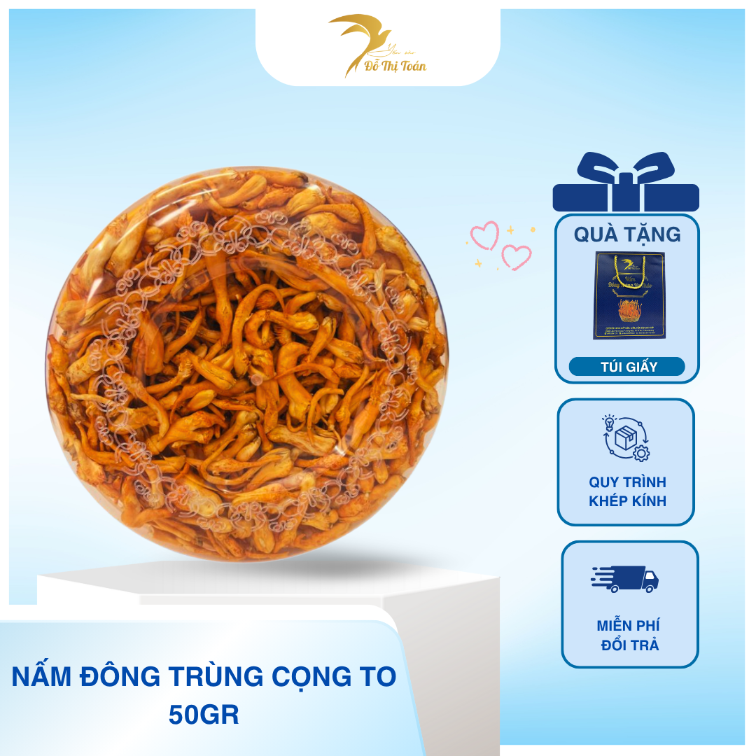 [D13] NẤM ĐÔNG TRÙNG XÔ CỌNG LỚN- HỘP 50GR