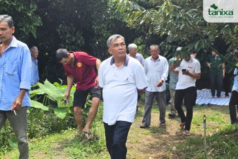 Hội thảo đầu bờ: Tham quan vườn Monthong 4 năm tuổi đồng hành cùng Tanixa vụ thứ 2