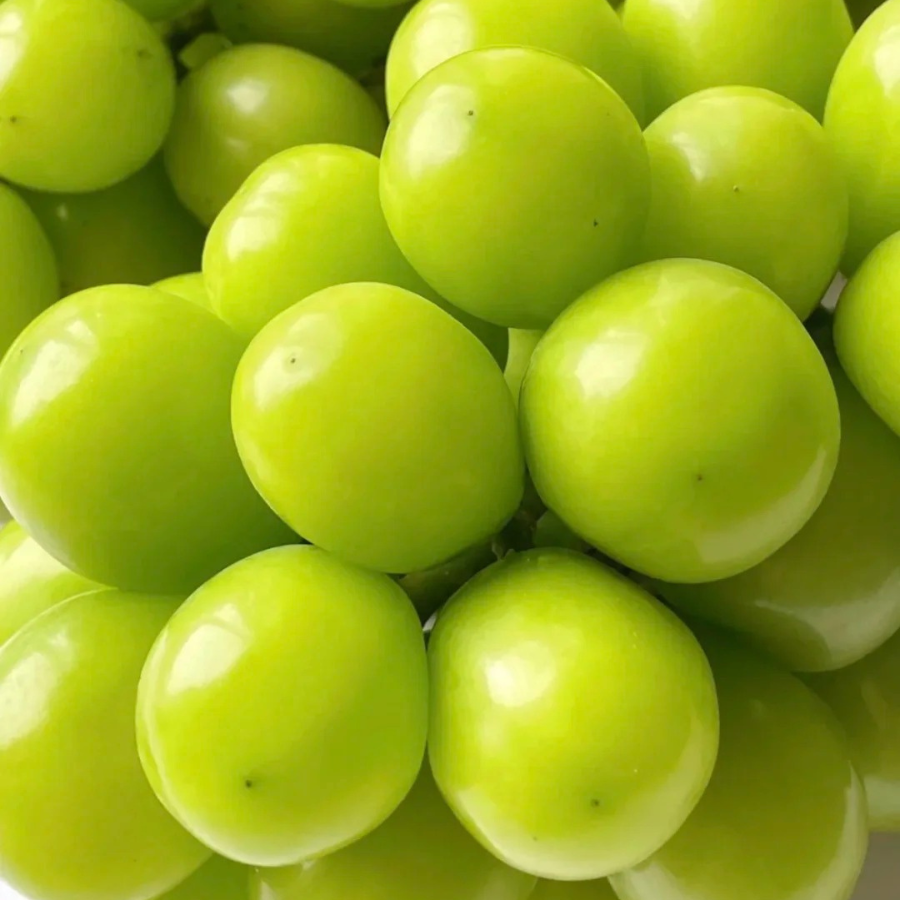 Nho Sữa - Đài Loan_thumbnail_4