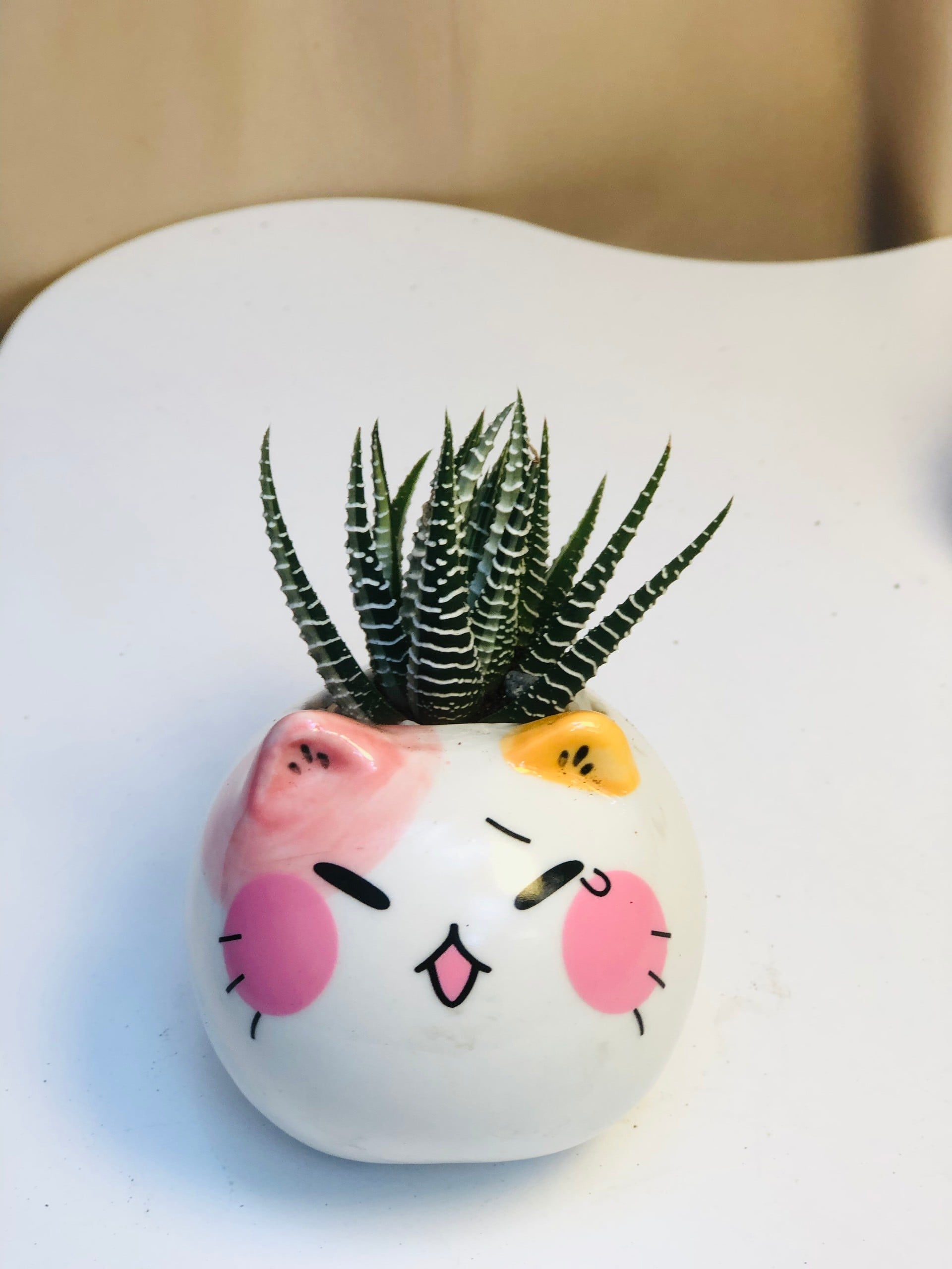 CHẬU ĐỘNG VẬT SỨ_thumbnail_18