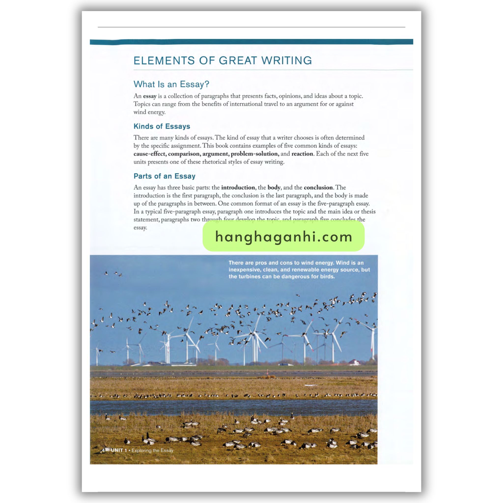 Great Writing 4 (5Th Edition)_thumbnail_9