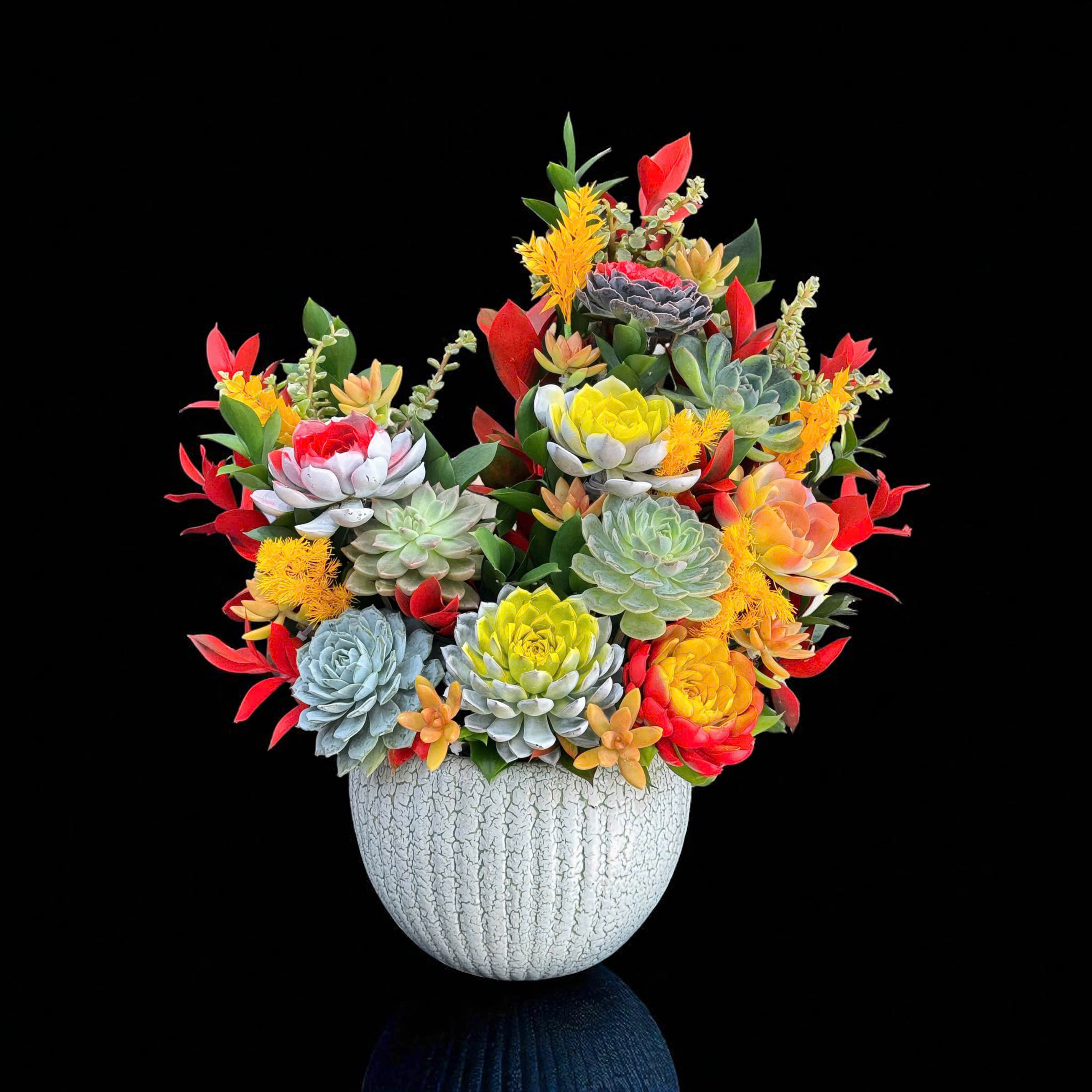 Bình hoa sen đá phượng hoàng