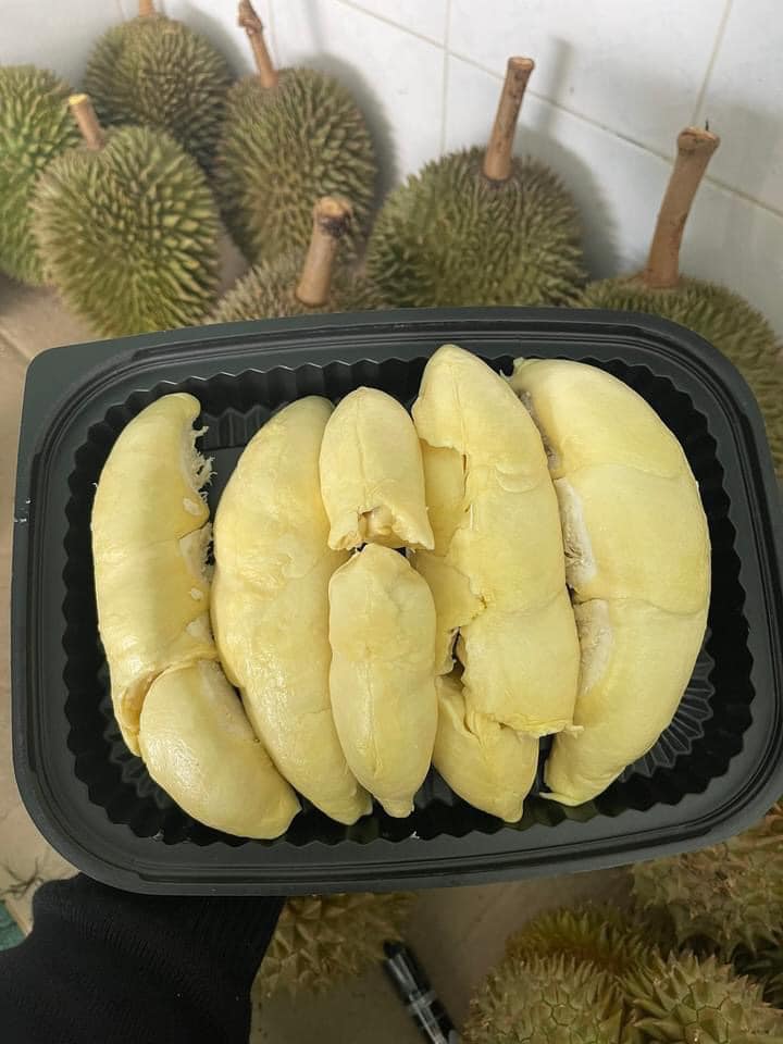 Sầu Riêng Chuồng Bò_thumbnail_4