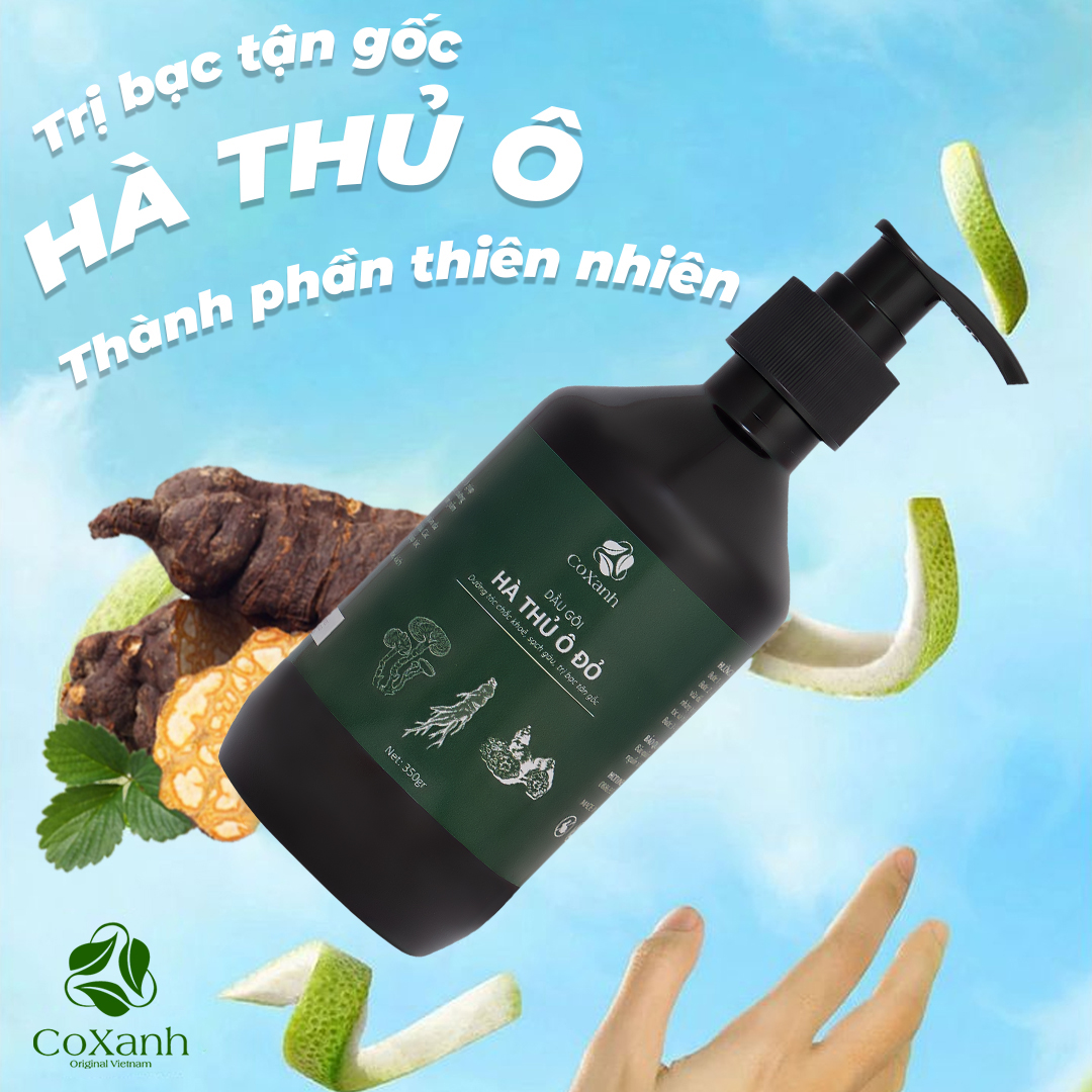 Dầu Gội Đen Tóc Hà Thủ Ô