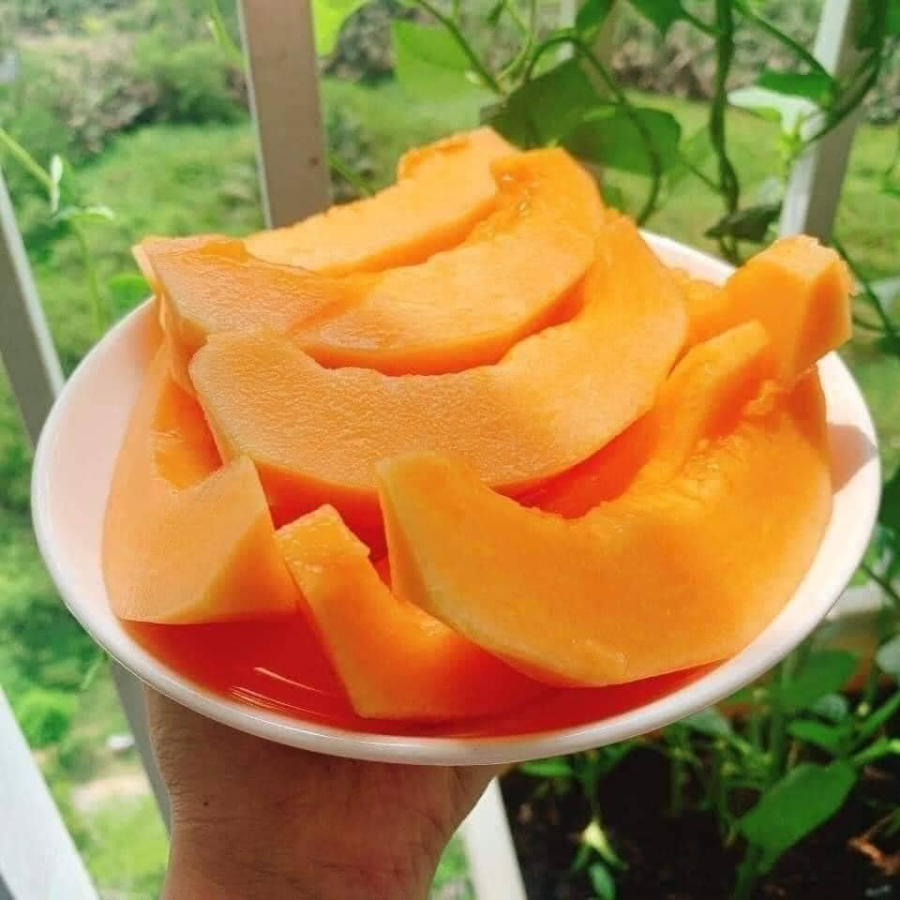 Dưa lưới TL3_thumbnail_1