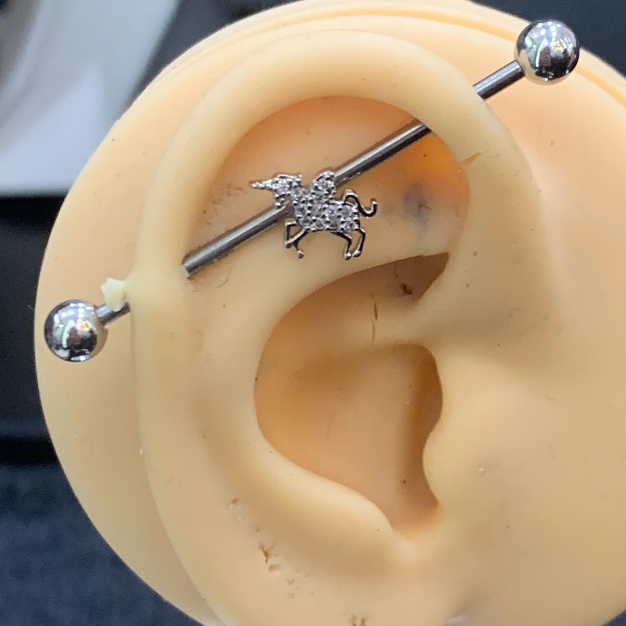 indus kiểu con ngựa nhấp nhánh _thumbnail_2