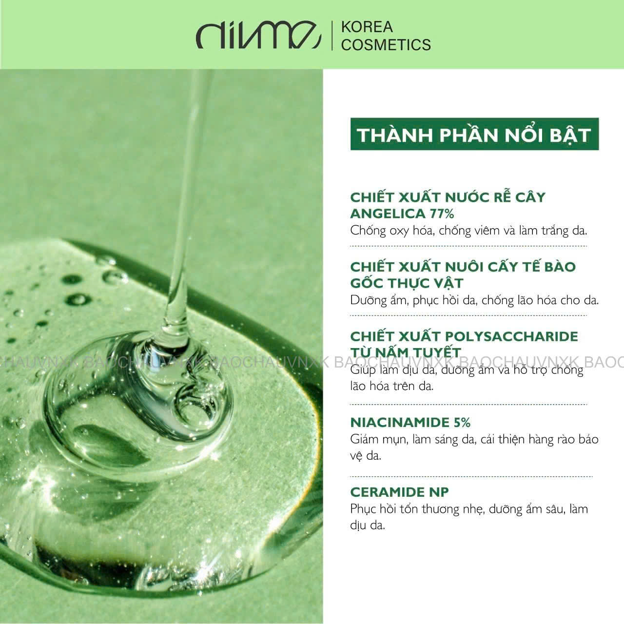 T21 TONER P@D_thumbnail_26