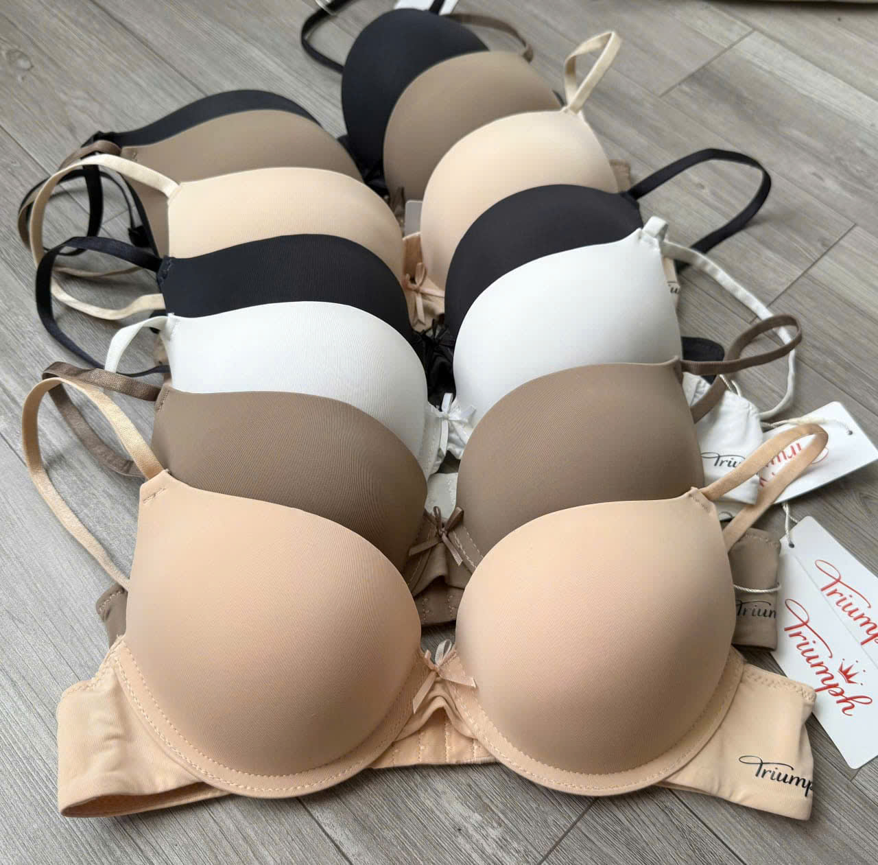 K684 AO NGUC TRIUMPH