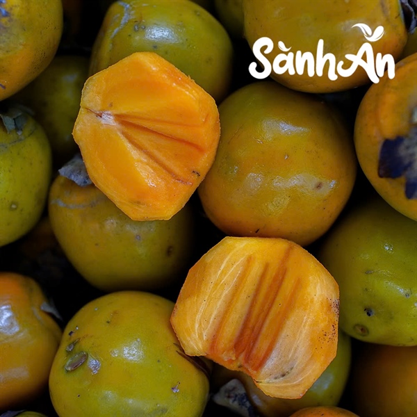 Hồng ngâm_thumbnail_2