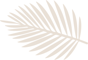 layout-slider3-031