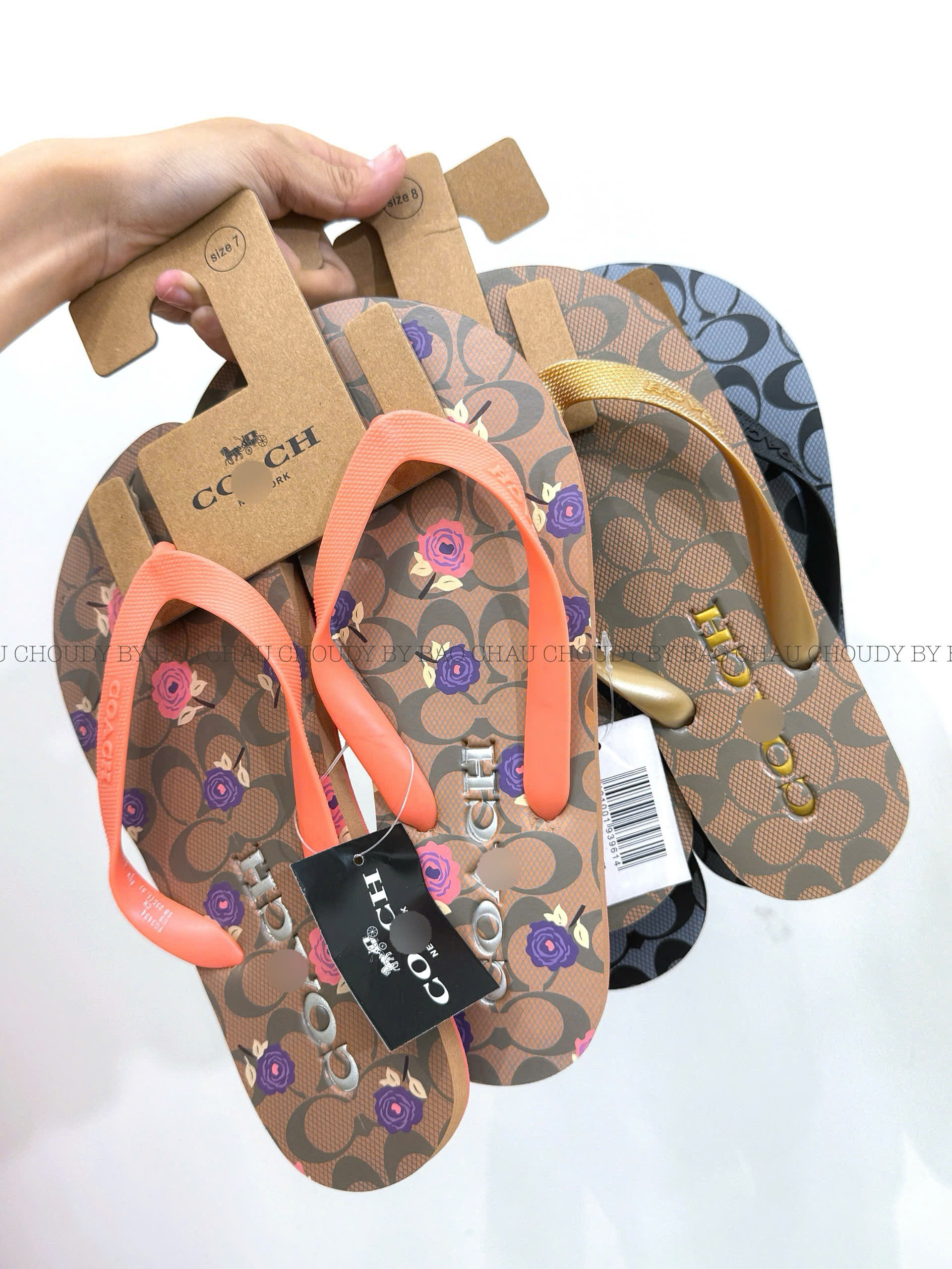 D103 DÉP 3 MÀU_thumbnail_5