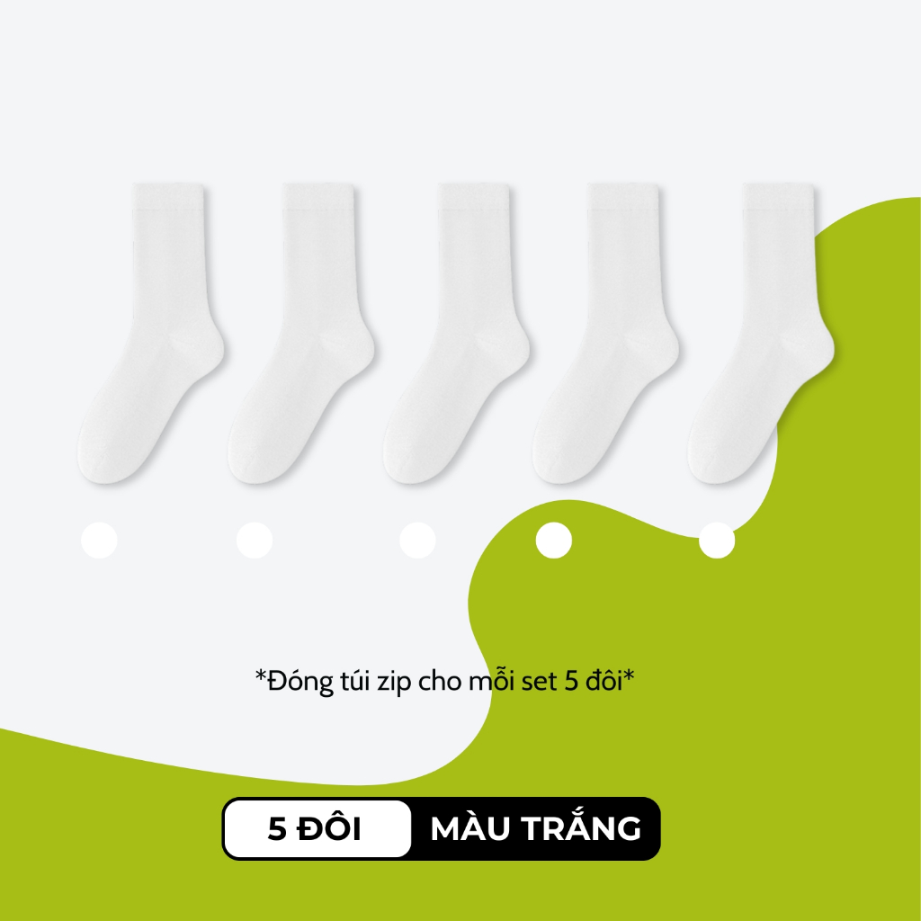 Combo 5 đôi tất nữ mỏng OAS-1706_thumbnail_0