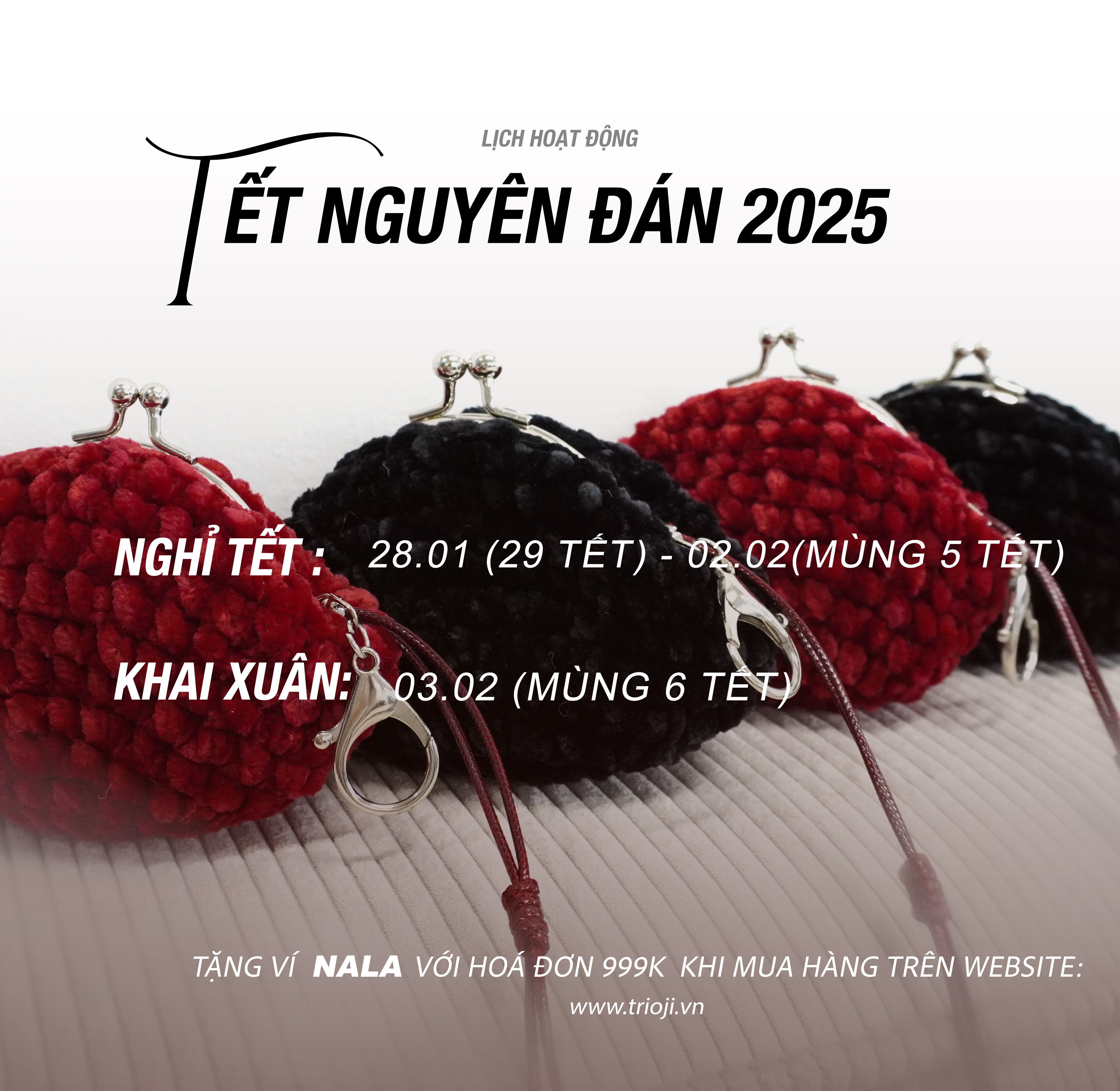 TET 25 mobi