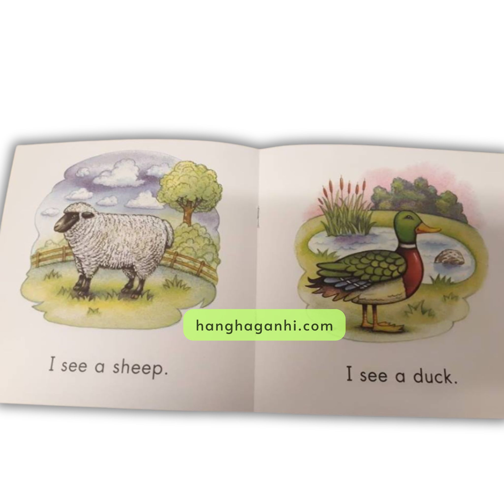 Sách nhập Sight word readers Trọn bộ 26 quyển_thumbnail_3