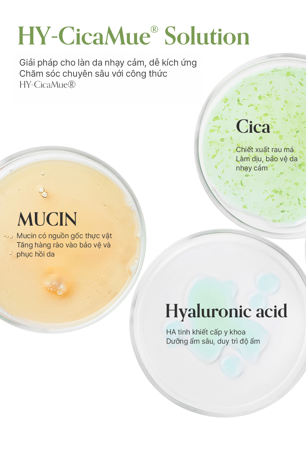 Kem chấm mụn làm dịu, phục hồi và giảm thâm elravie HyCicaMue Spot Cream_thumbnail_5