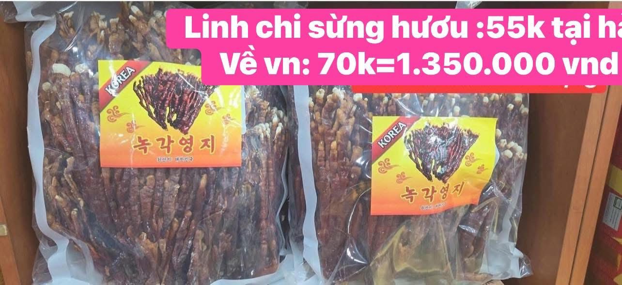 Nấm Sừng Hươu 500g
