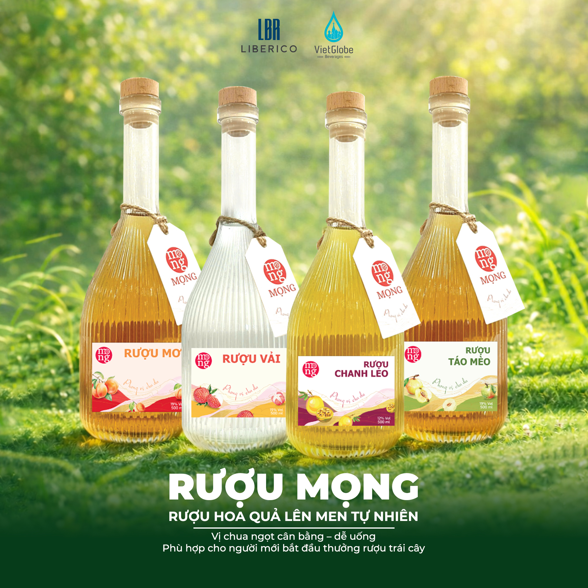 Mọng Rượu Mơ 19% Vol - 500ml_thumbnail_1