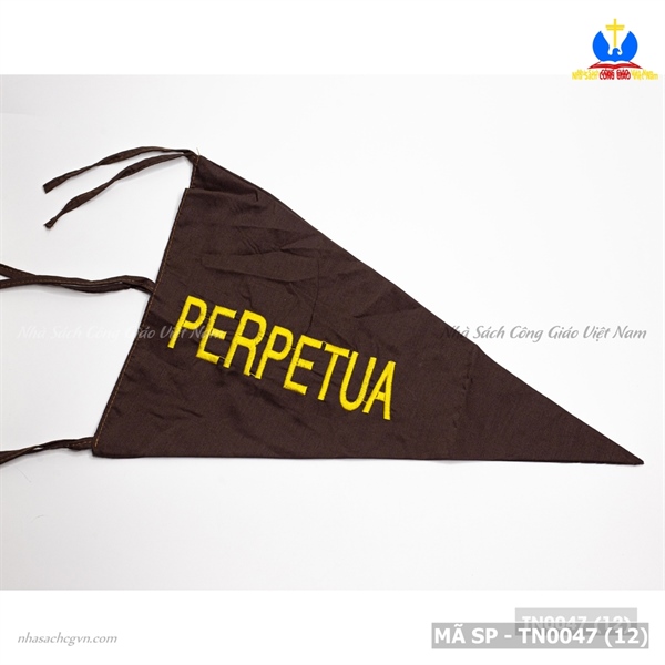 Cờ đội TNTT_thumbnail_4