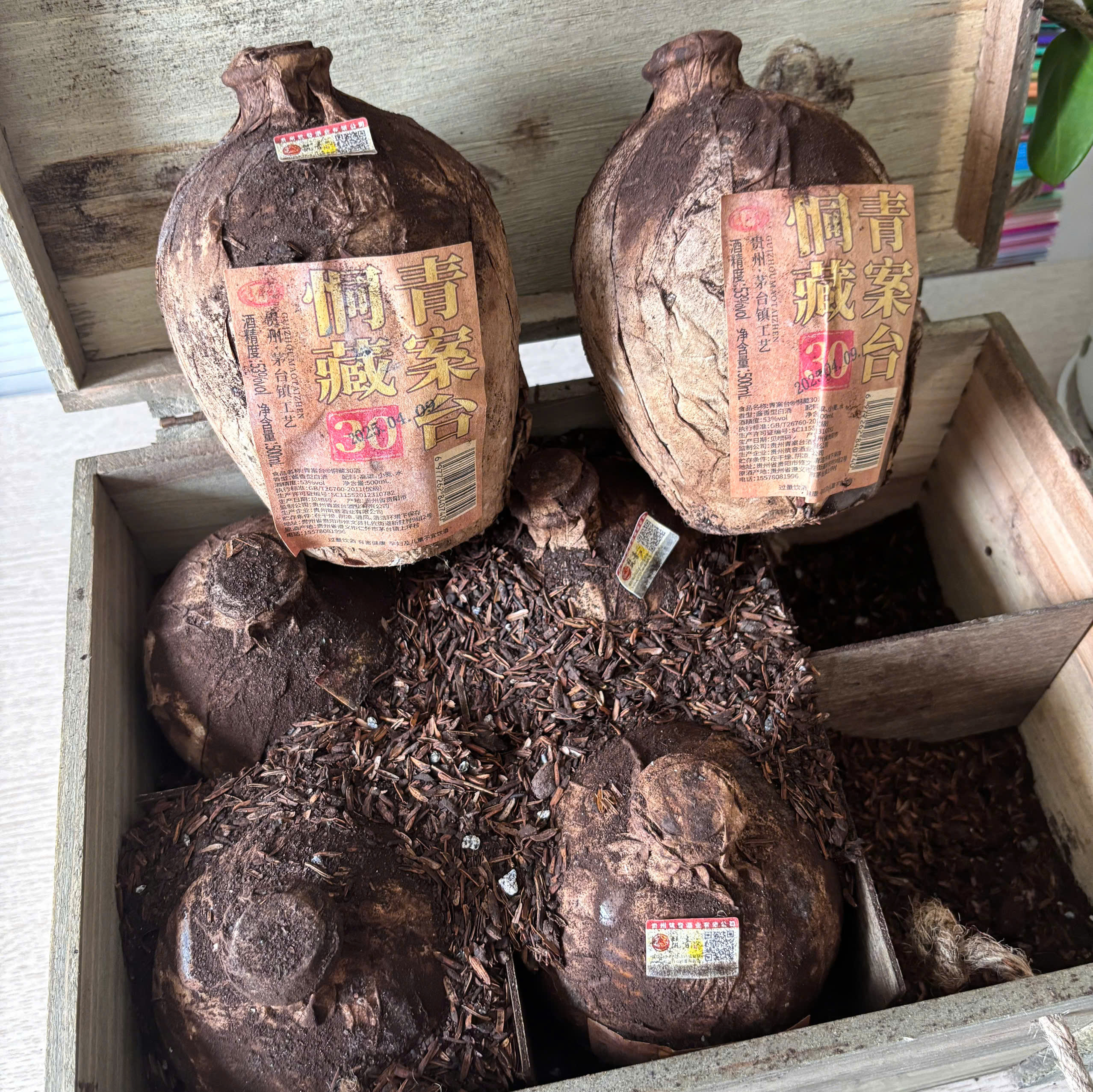 MAO ĐÀI 30 NĂM_thumbnail_5