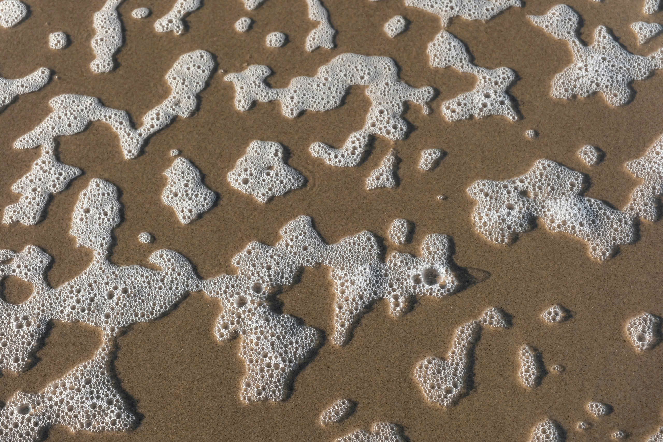 z6295290295119_0dd738377d3ec6056cc6550c5fed738c