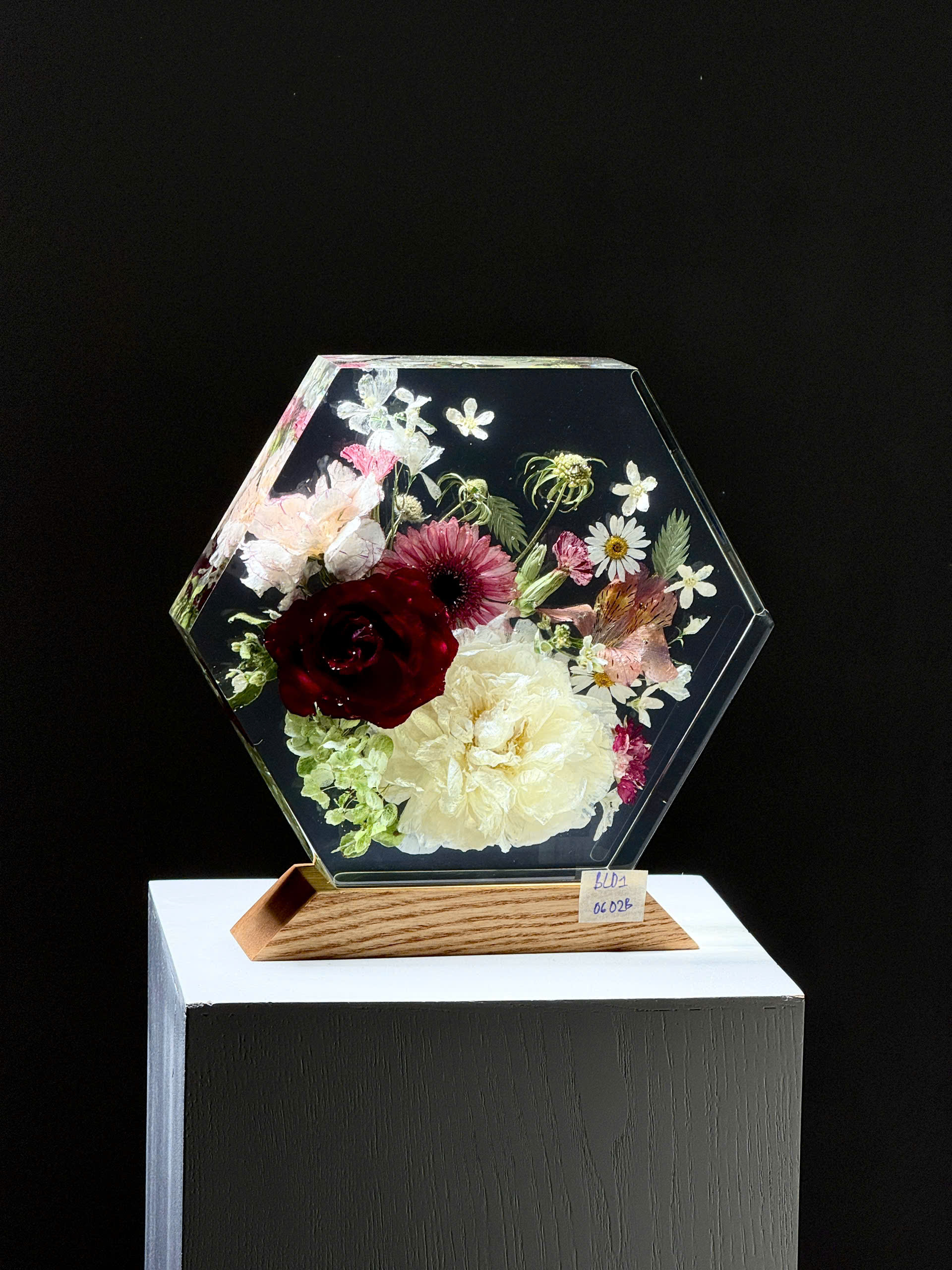 Đèn hoa khô Bloomlight BLD10602B