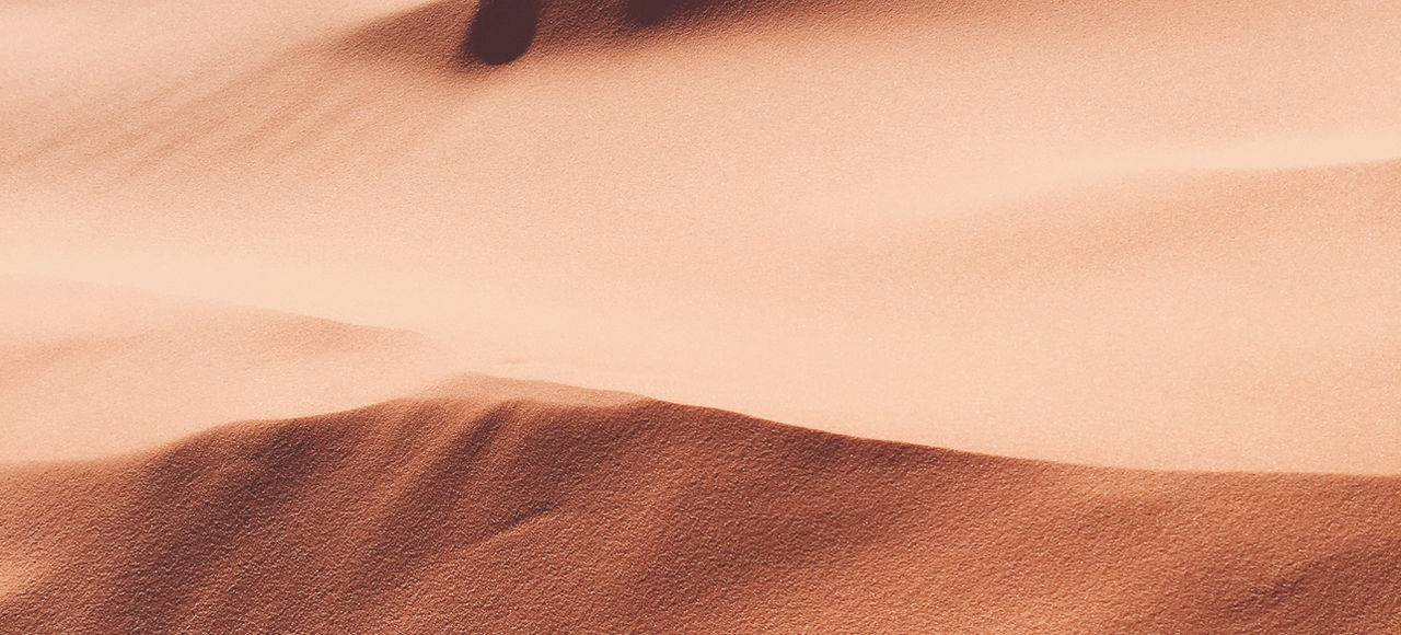 84770f_b1e324e5195449fba23df0d9f889767d~mv2